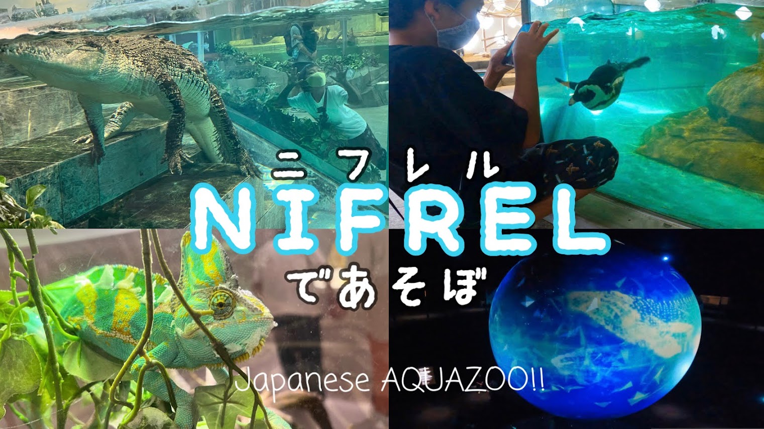 「【2022年版】大阪で子供とお出かけするならココ！水族館と動物園が一緒に楽しめる“ニフレル”完全ガイド！」のアイキャッチ画像